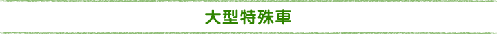 大型特殊