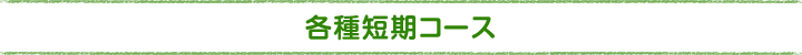 各種短期コース