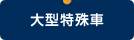 大型特殊