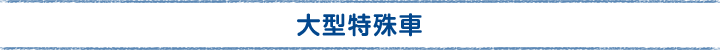 大型特殊